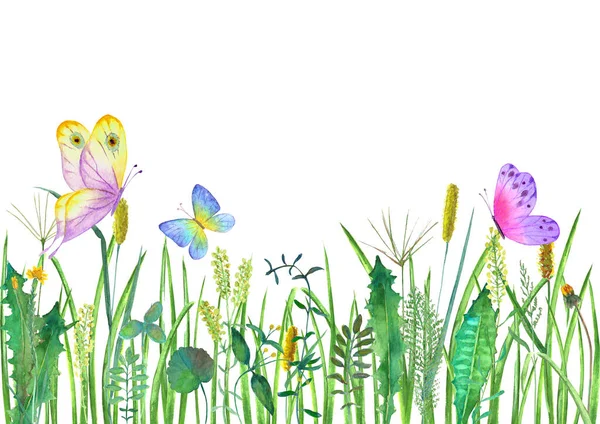 Rét Vadvirágok Gyógynövények Fűfélék Színes Pillangókkal Akvarell Kézzel Rajzolt Botanikai — Stock Fotó
