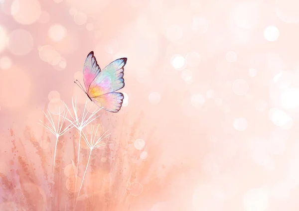 Weide Wilde Bloemen Kruiden Grassen Horizontale Achtergrond Met Kleurrijke Vlinder — Stockfoto