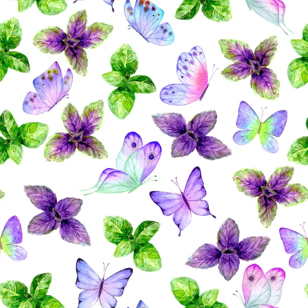 芬芳的厨房烹调香草香料罗勒叶和蝴蝶水彩斑斓的白色背景图案 水彩画手绘植物学纹理 织物设计 包装用印刷 — 图库照片