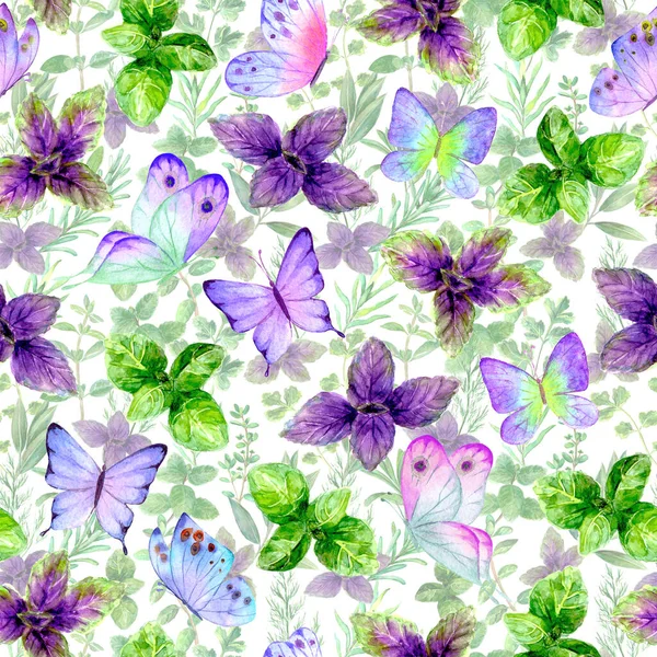 香り高いキッチン料理ハーブスパイスバジルの葉と蝶は白い背景にシームレスなパターンを水彩 水の色の手の植物の質感を描いた 布のデザイン 包装のための印刷 — ストック写真