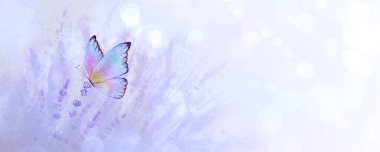 Renkli kelebekli lavanta renkli arka plan. Suluboya el, Bokeh efektli mor botanik çizim yaptı. Çiçekli suluboya bitki arkaplanı. Metin için boşluk.