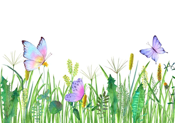 Prairie Fleurs Sauvages Herbes Herbes Avec Des Papillons Colorés Aquarelle — Photo