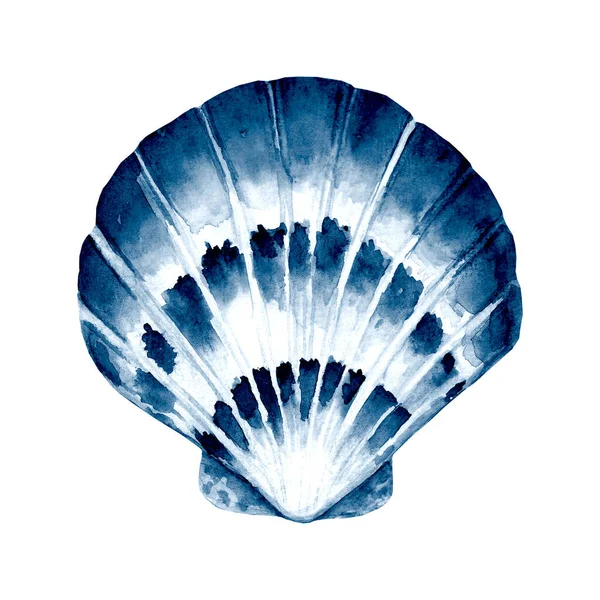 Εποχιακή Ακουαρέλα Εικονογράφηση Υδατογραφία Χειροποίητο Κέλυφος Θάλασσας Απομονωμένο Λευκό Φόντο — Φωτογραφία Αρχείου