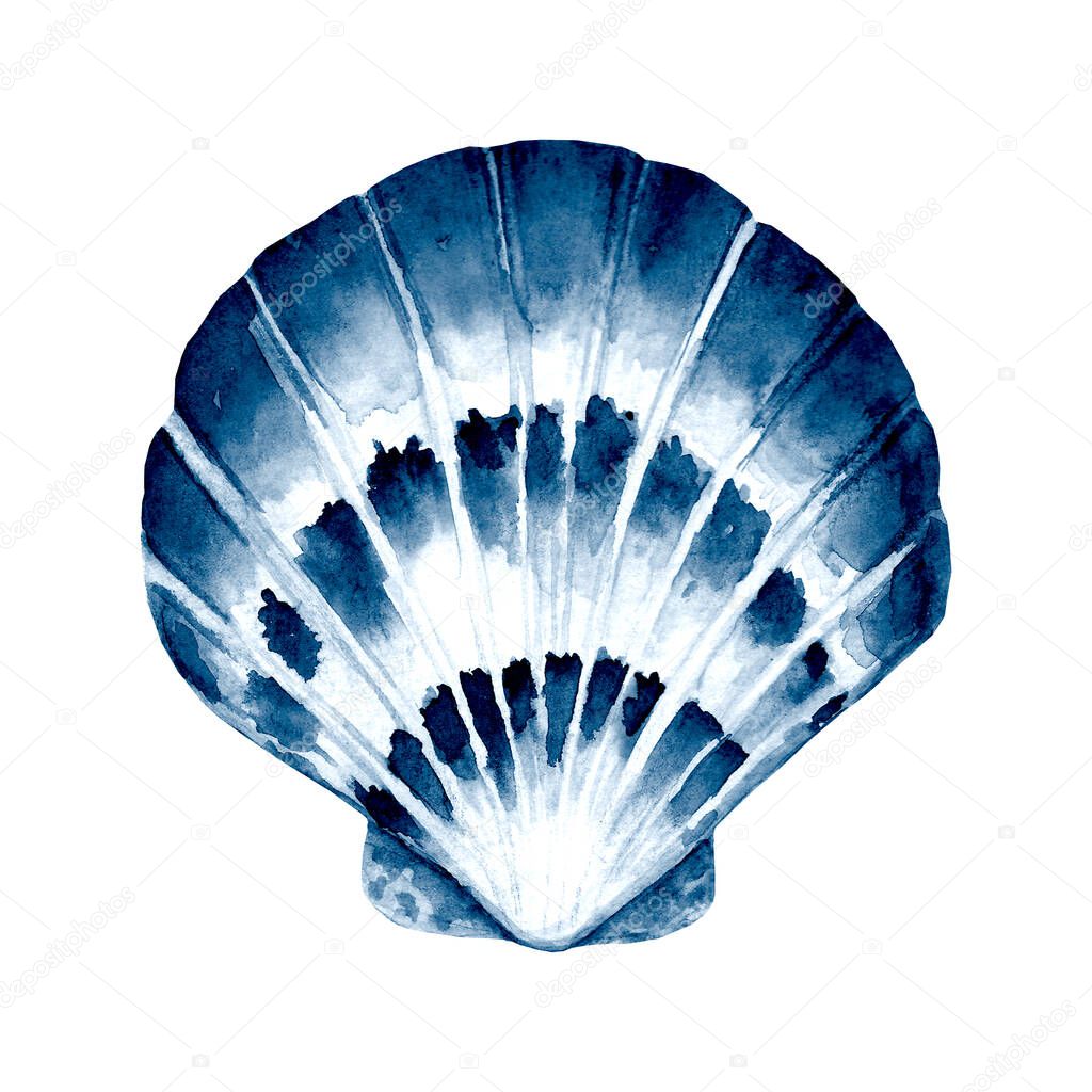 Seashell watercolor illustration. Watercolour hand drawn sea shell isolated on white background. Marine underwater element design. Print for greeting card, wallpaper, fabric, wrapping paper, banner.