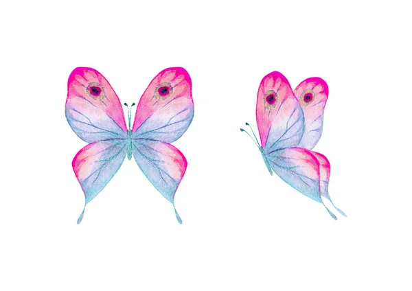 Υδατογραφία Βοτανικό Καλοκαιρινό Σετ Πολύχρωμες Πεταλούδες Υδατογραφία Ζωγραφισμένη Στο Χέρι — Φωτογραφία Αρχείου