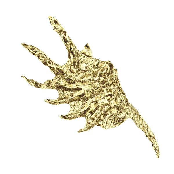 Tengeri Kagyló Illusztráció Kézzel Rajzolt Sárga Arany Színű Tengeri Kagyló — Stock Fotó