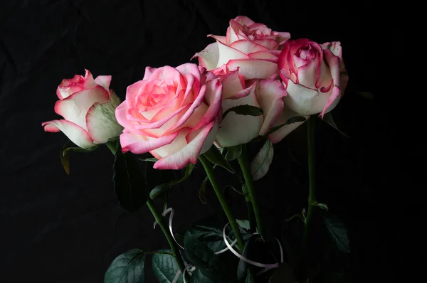 Koyu arkaplanda gül