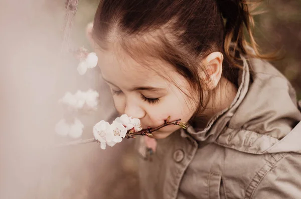 Flicka Som Sniffar Aprikos Blommor Trädgren — Stockfoto