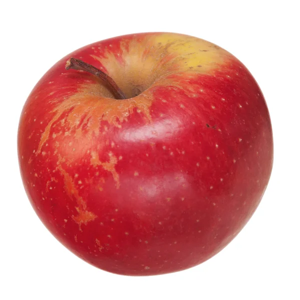 Apfel — Stockfoto