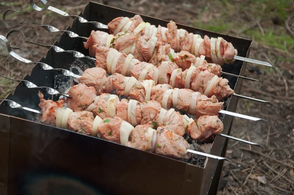 Barbekü Izgara kızarmış