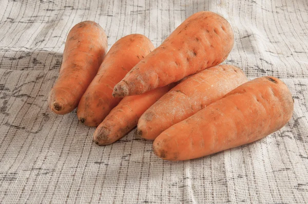 Varias zanahorias —  Fotos de Stock