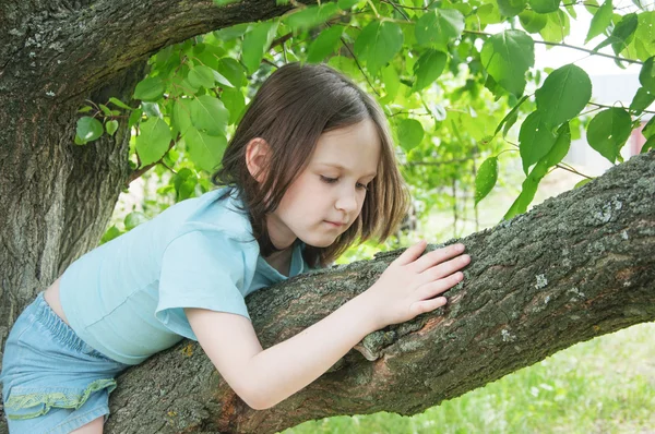 Chica en el árbol — Foto de Stock