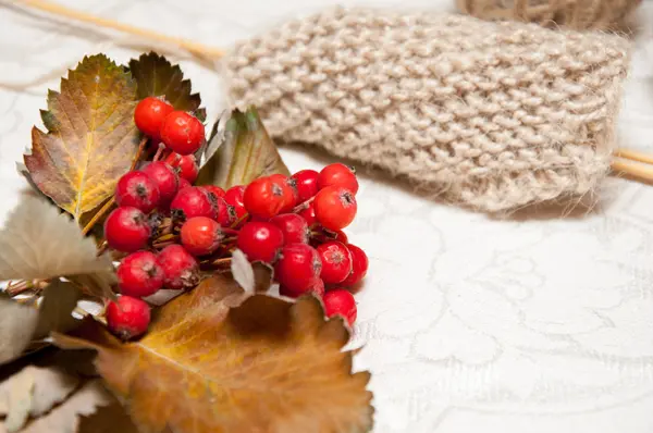 Knitting beige and red berries — Stock Photo, Image