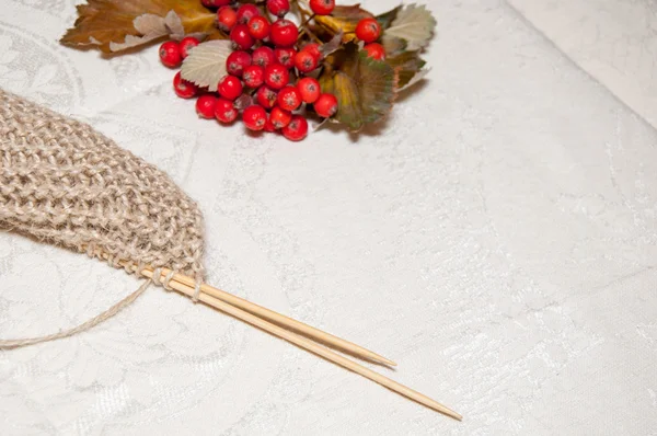 Stricken beige und rote Beeren — Stockfoto