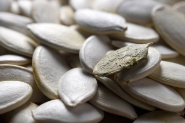 Balkabağı tohumlarını yaklaştır.