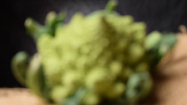 密切留意成熟的罗密欧卷心菜 — 图库视频影像