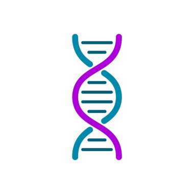 Renkli DNA ikonu. Beyaz arka planda basit DNA sarmalı. Genetik materyal sembolü. Mavi ve mor DNA sarmalı. İnsan genom tasarım elementi. Moleküler biyoloji. Vektör illüstrasyonu, klip sanatı.