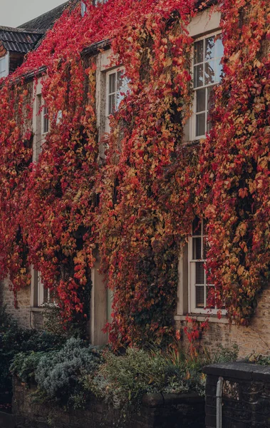 Feuillage Rouge Jaune Sur Vieille Maison Pierre Frome Somerset Royaume — Photo