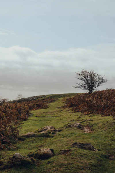 在一个阳光明媚的秋日 在英国萨默塞特的门底山 一条绿色的小径正爬上小山 — 图库照片