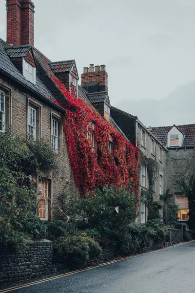 Rangée Vieilles Maisons Pierre Recouvertes Feuillage Coloré Dans Une Rue — Photo