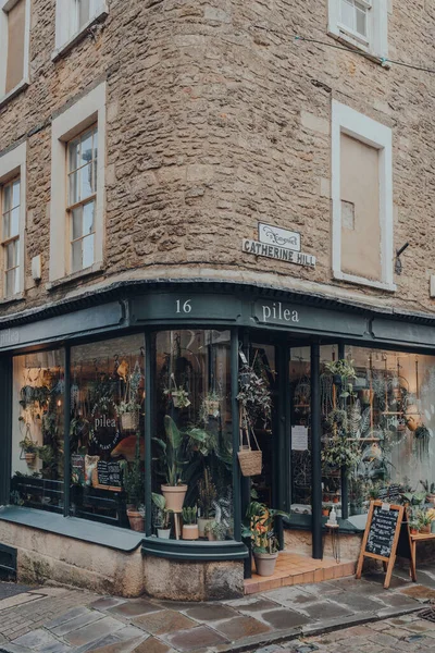 Frome October 2020 Exterior Pilea Plant Shop Street Frome Market — Stock Photo, Image