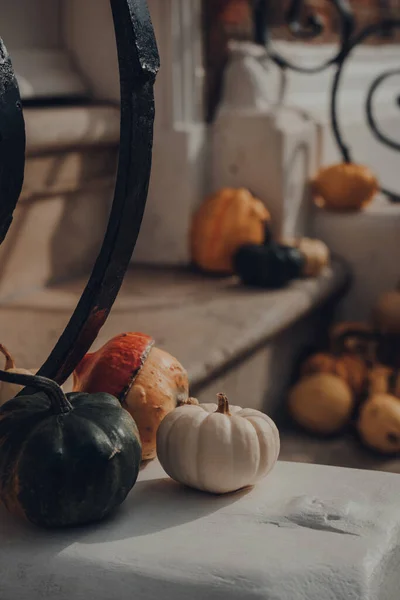 Variedad Diferentes Tipos Calabazas Calabazas Puerta Una Casa Decoración Halloween —  Fotos de Stock