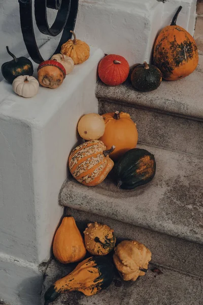 Variedad Diferentes Tipos Calabazas Calabazas Puerta Una Casa Decoración Halloween —  Fotos de Stock