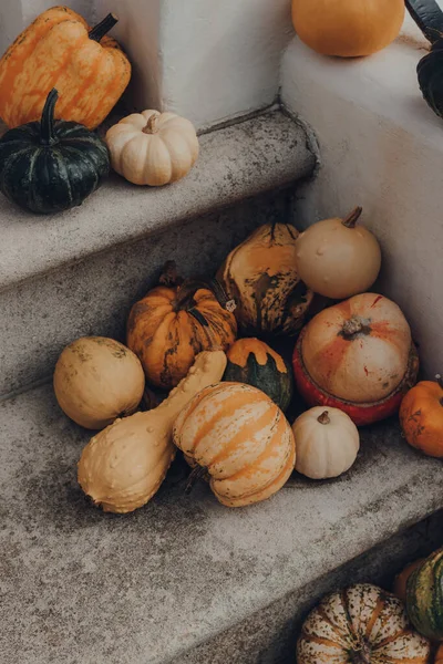 Variedad Diferentes Tipos Calabazas Calabazas Puerta Una Casa Decoración Halloween —  Fotos de Stock