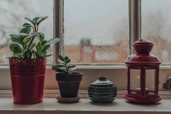 Rangée Plantes Pot Objets Décoratifs Sur Rebord Fenêtre Maison Mise — Photo