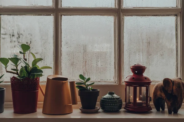 Rangée Plantes Pot Objets Décoration Arrosoir Sur Rebord Fenêtre Maison — Photo