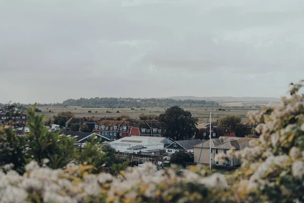 Rye October 2020 Scenic View Greenery Watchbell Lane Rye One — Stockfoto