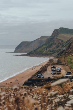 Eype Beach, UK - July 25, 2020: Scenic view over the flowers of Eype Beach, a secluded and unspoiled beach on Dorset Jurassic Coast, coastline and and the carpark. Selective focus.