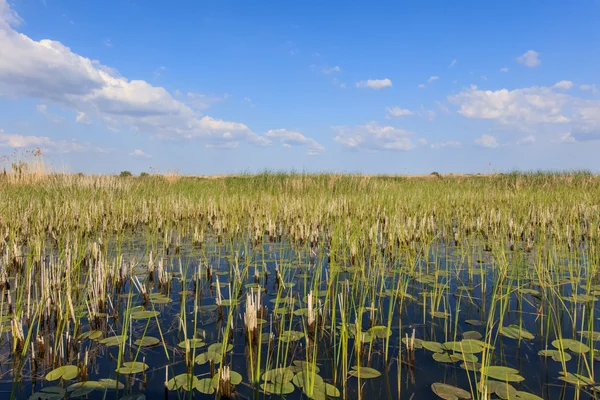 Danúbio Delta, Roménia — Fotografia de Stock