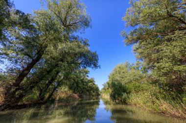 Tuna Deltası, Romanya
