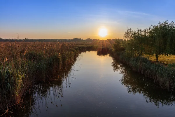 Nascer do sol no Delta do Danúbio — Fotografia de Stock