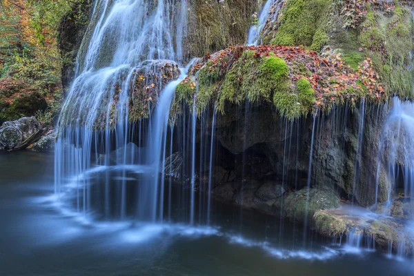 Nera beusnita gorges milli park, Romanya bigar art arda düşüyor — Stok fotoğraf