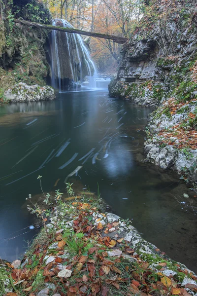 Cascada Bigar Falls en Nera Beusnita Gorges National Park, Rumania —  Fotos de Stock