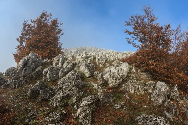 Mountain landscape — Stock Photo, Image