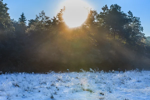 Soluppgång på vintern — Stockfoto