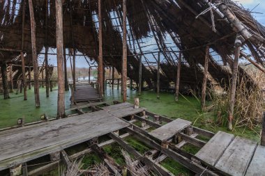 Comana doğal park, Romanya