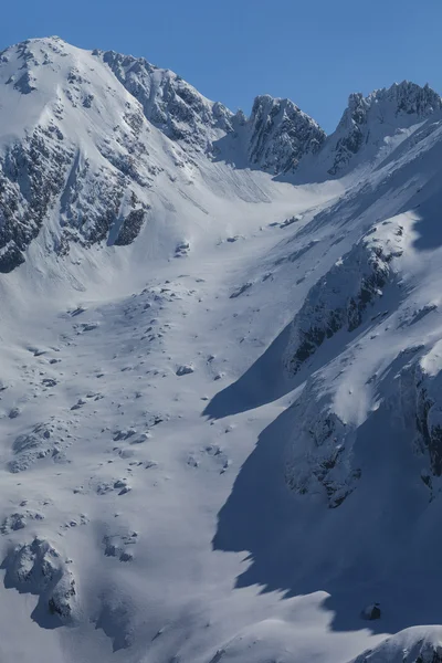 Făgăraş bergen på vintern — Stockfoto