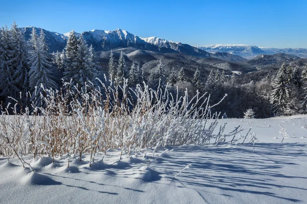 Mountain landscape — Stock Photo, Image