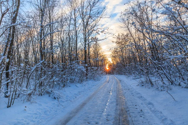 Rustic road in winter — Stock Photo, Image