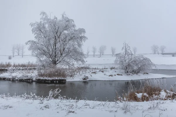 Comana-See im Winter — Stockfoto
