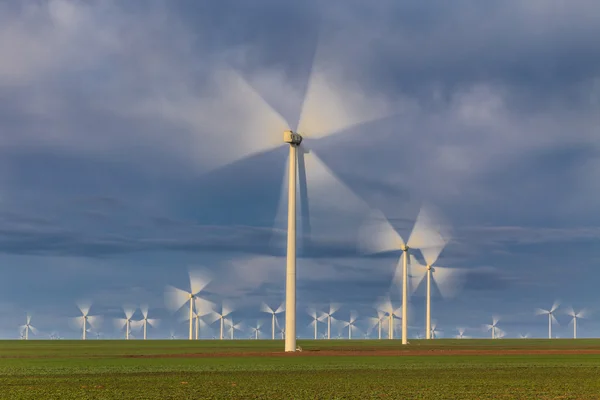 Wind power turbines in  Dobrogea, Romania — Stock Photo, Image