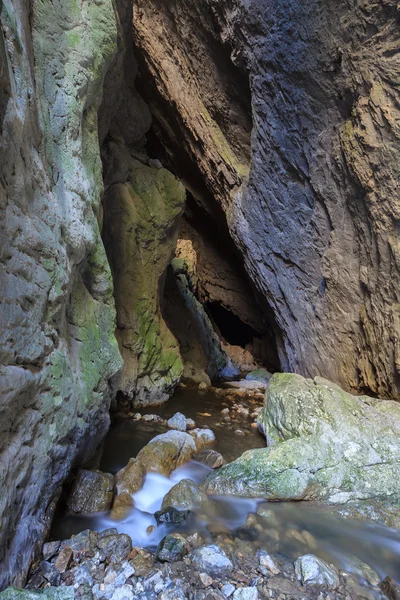 Stream Ponicova, Romania — Stock Photo, Image