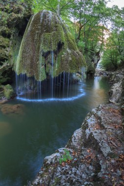 nera beusnita gorges milli park, Romanya bigar art arda düşüyor