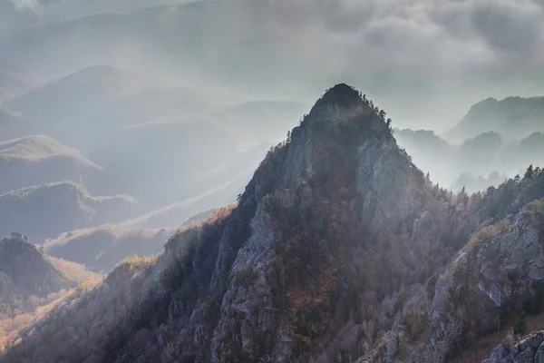 Montagne Cozia, Romania — Foto Stock