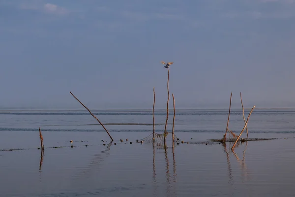 Lever de soleil dans le delta du Danube — Photo