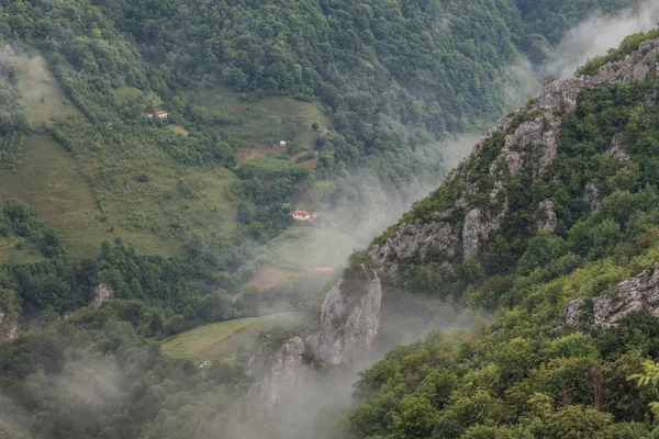 Les monts Mehedinti, Roumanie — Photo
